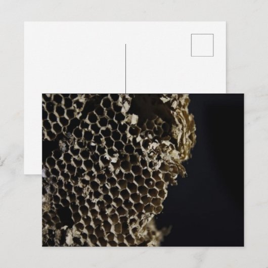 bijenkorf briefkaart (Voorkant / Achterkant)