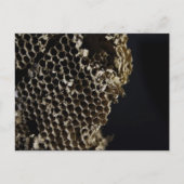 bijenkorf briefkaart (Voorkant)