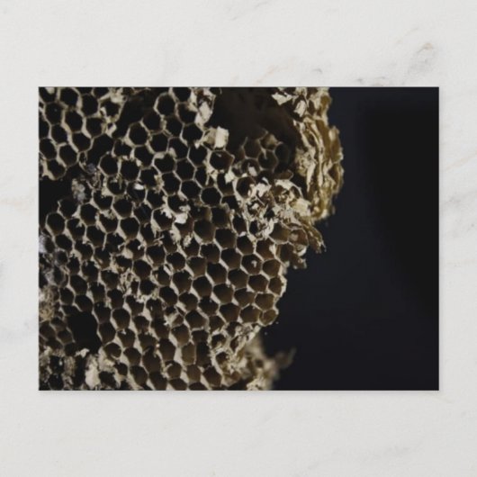 bijenkorf briefkaart (Voorkant)