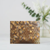 bijenkorf briefkaart (Staand voorkant)