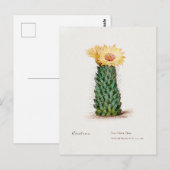 bijenkorf cactus illustratie briefkaart (Voorkant / Achterkant)