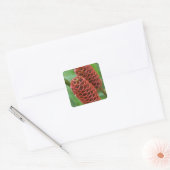 Bijenkorf gember, Zingiber spectabile), Vierkante Sticker (Envelop)