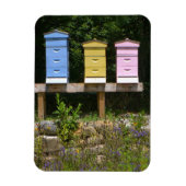 bijenkorf magneet (Verticaal)