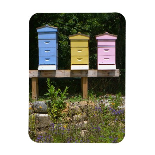 bijenkorf magneet (Verticaal)