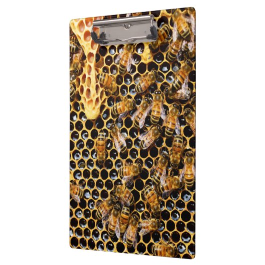 Bijenkorf met Honeycomb Up Close Klembord (Links)