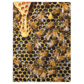 Bijenkorf met Honeycomb Up Close Klembord (Achterkant)