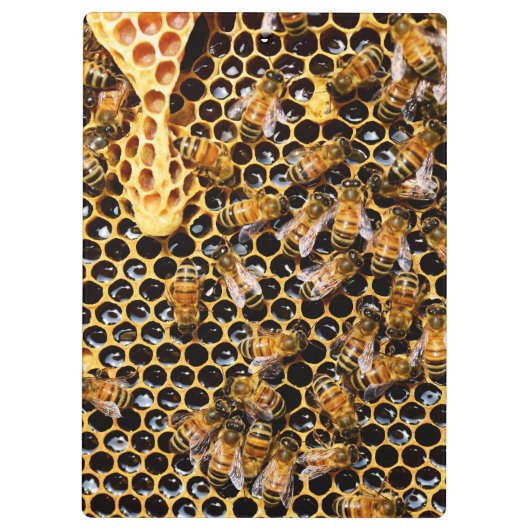 Bijenkorf met Honeycomb Up Close Klembord (Achterkant)
