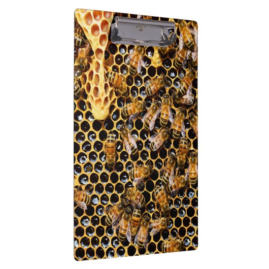 Bijenkorf met Honeycomb Up Close Klembord (Rechts)