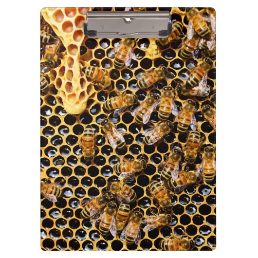 Bijenkorf met Honeycomb Up Close Klembord (Voorkant)