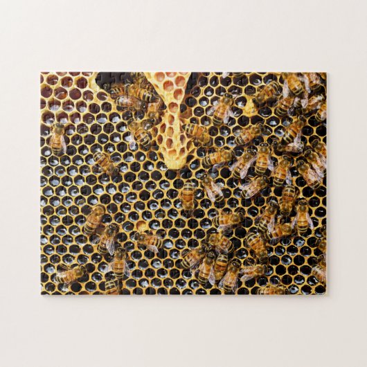Bijenkorf met Honeycomb Up Close Legpuzzel (Horizontaal)