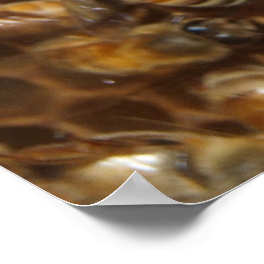 bijenkorf poster (Hoek)