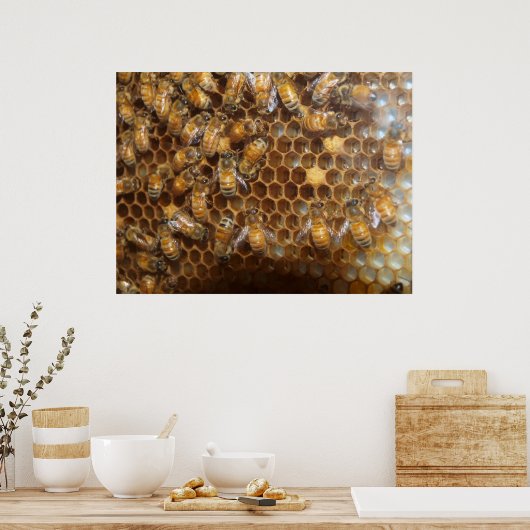 bijenkorf poster (Keuken)