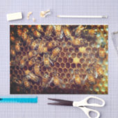 bijenkorf tissuepapier (Craft)