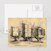  bijenkorven bijenkorven briefkaart (Voorkant / Achterkant)
