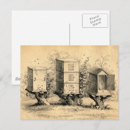  bijenkorven bijenkorven briefkaart (Voorkant / Achterkant)