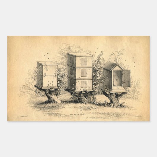  bijenkorven bijenkorven rechthoekige sticker (Voorkant)