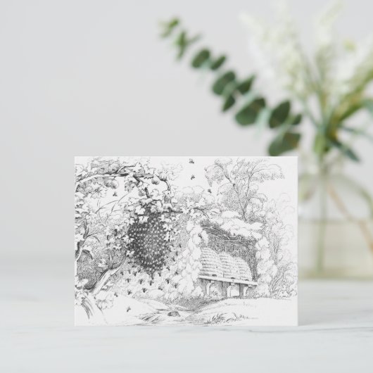  bijenkorven briefkaart (Staand voorkant)