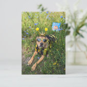 Bijenkostuum boek Grappige Hond Fotokaart Bedankkaart (Staand voorkant)