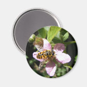 bijenmagneet magneet (Voorkant / Achterkant)