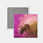 Bijenmagneten Magneet (Voorkant / Achterkant)