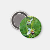 bijenorchidee magneet (Voorkant / Achterkant)