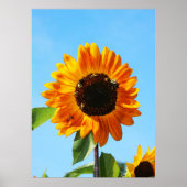 Bijenpartij 1 poster (Voorkant)