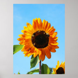 Bijenpartij 1 poster