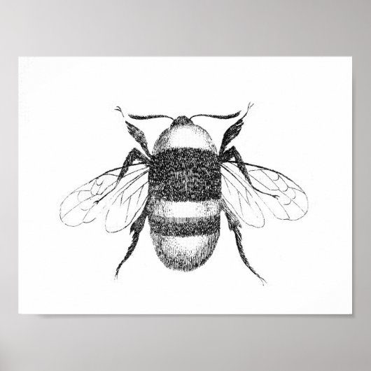 bijenprint poster (Voorkant)