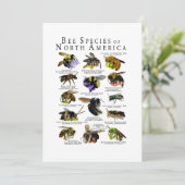 Bijensoorten van Noord-Amerika Poster Print Kaart (Staand voorkant)