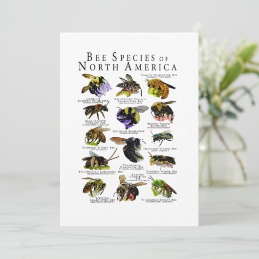 Bijensoorten van Noord-Amerika Poster Print Kaart (Staand voorkant)