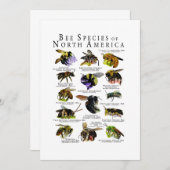 Bijensoorten van Noord-Amerika Poster Print Kaart (Voorkant / Achterkant)