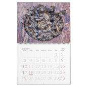 Bijenteelt 2025 -2026 Kalender (Jan 2027)