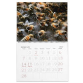 Bijenteelt 2025 -2026 Kalender (Feb 2027)