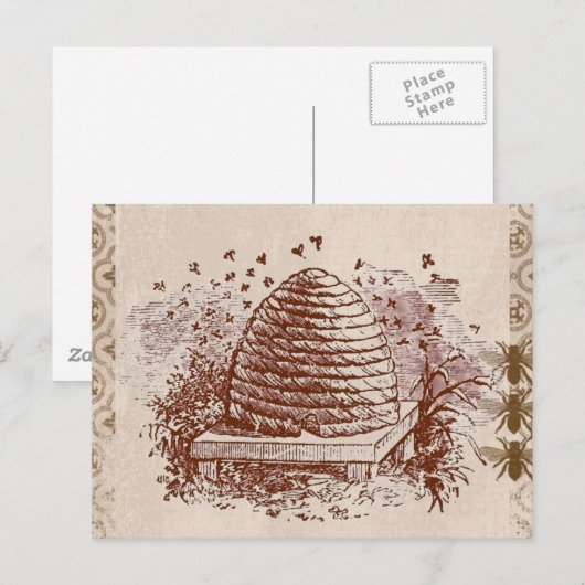  bijenteelt briefkaart (Voorkant / Achterkant)