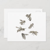 bijentekening briefkaart (Voorkant / Achterkant)