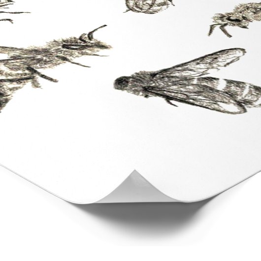 bijentekening poster (Hoek)