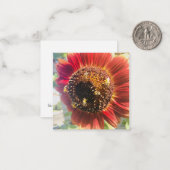 Bijenuniek Notitiekaartje (Voorkant / Achterkant in situ)