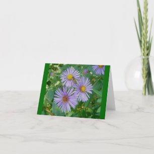 Bijenvlieg Paarse Asters Nota Kaart