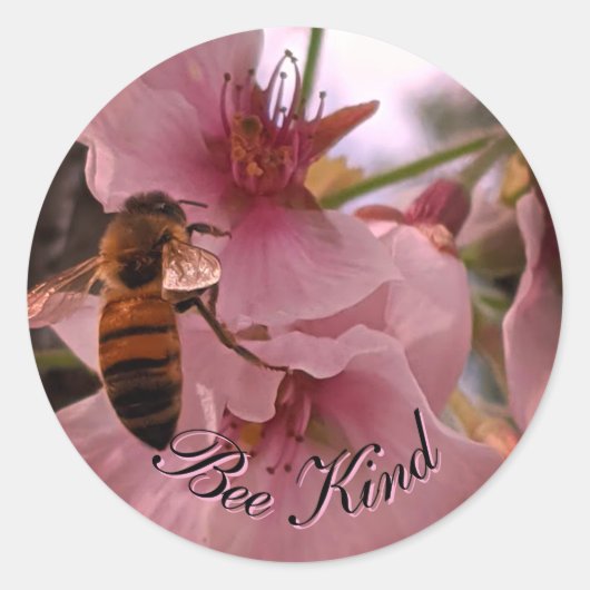 Bijenvriendelijke stickers (Voorkant)