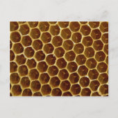 bijenwas, kammer briefkaart (Voorkant)