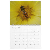 Bijenwassen en hoverflies, kalender 2014 (Jan 2026)