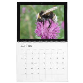 Bijenwassen en hoverflies, kalender 2015 (Mar 2026)