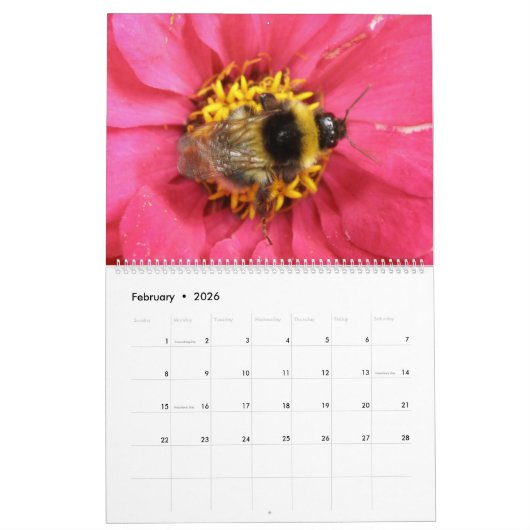 Bijenwassen en overvliegers Aangepaste agenda Kalender (Feb 2026)