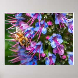 Bijenwerk Poster