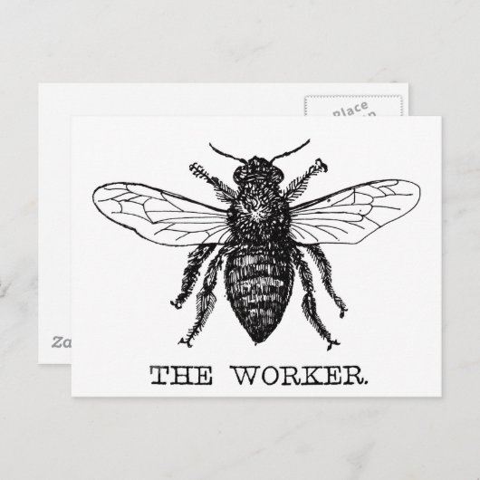 Bijenwerker Honing Zwarte hommel Briefkaart (Voorkant / Achterkant)
