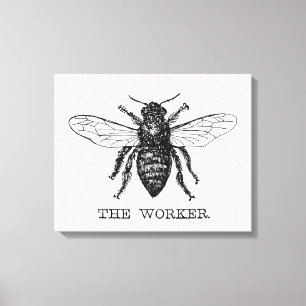 Bijenwerker Honing Zwarte hommel Canvas Afdruk
