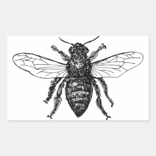 Bijenwerker Honing Zwarte hommel Rechthoekige Sticker
