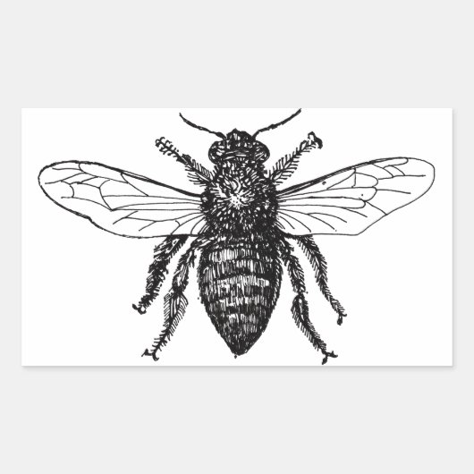 Bijenwerker Honing Zwarte hommel Rechthoekige Sticker (Voorkant)