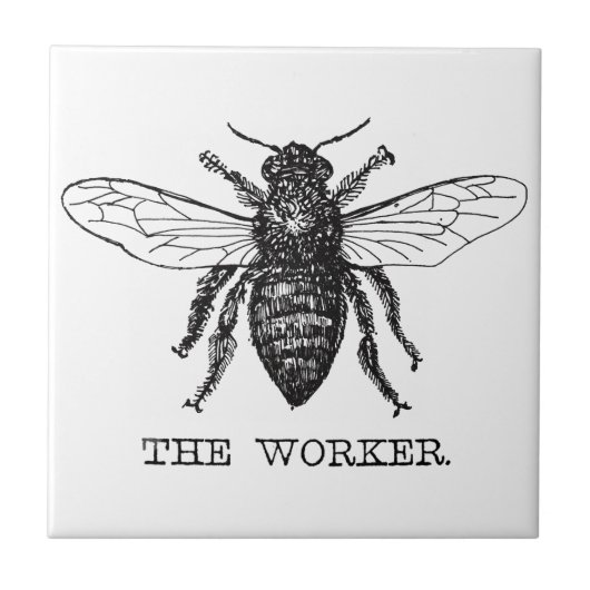 Bijenwerker Honing Zwarte hommel Tegeltje (Voorkant)