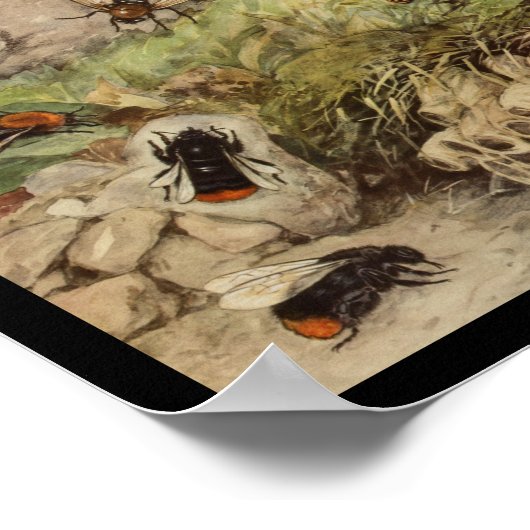 Bijenwissel snijdt  afdrukken poster (Hoek)